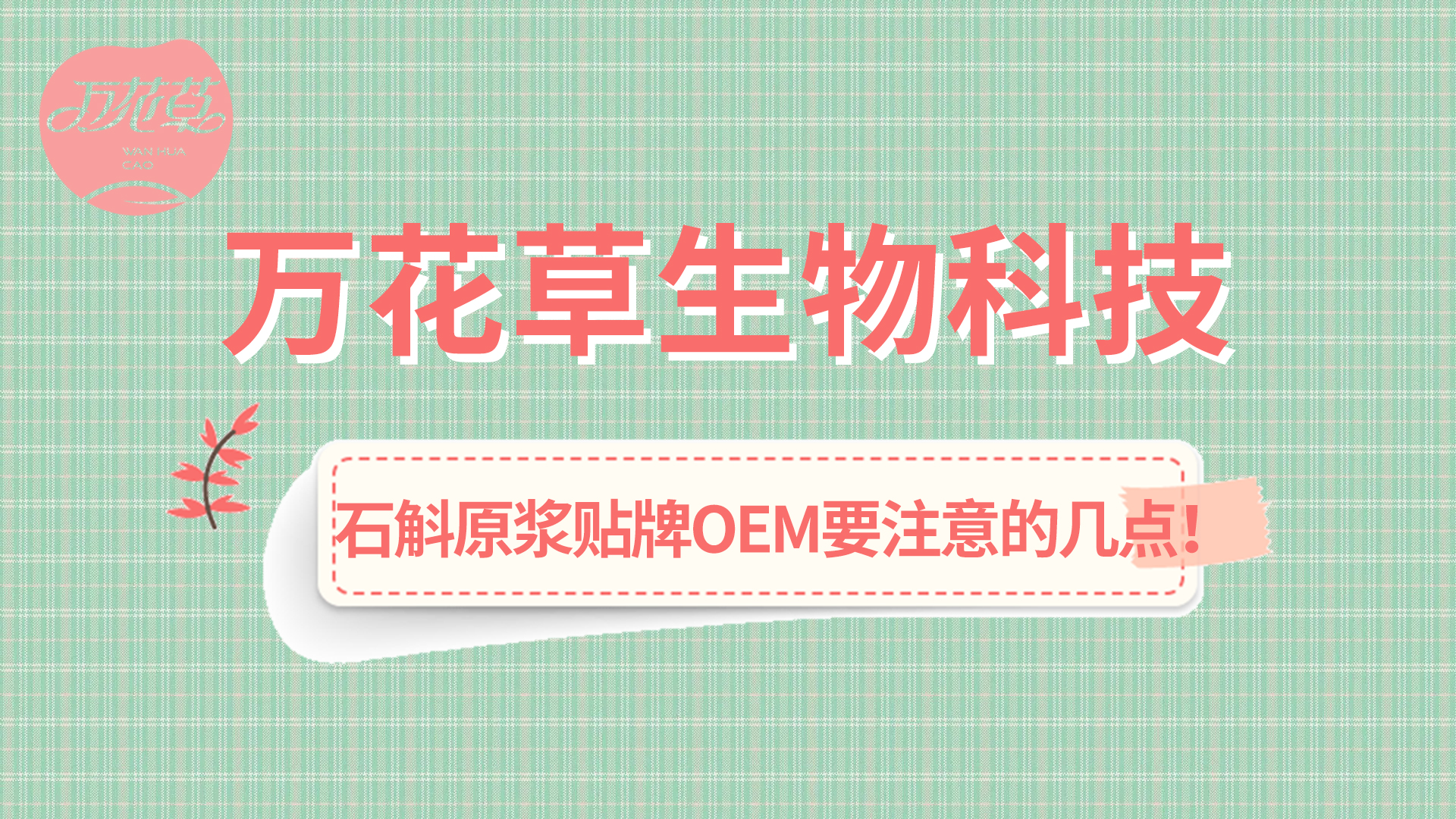 石斛原漿貼牌oem您需要注意哪幾點？